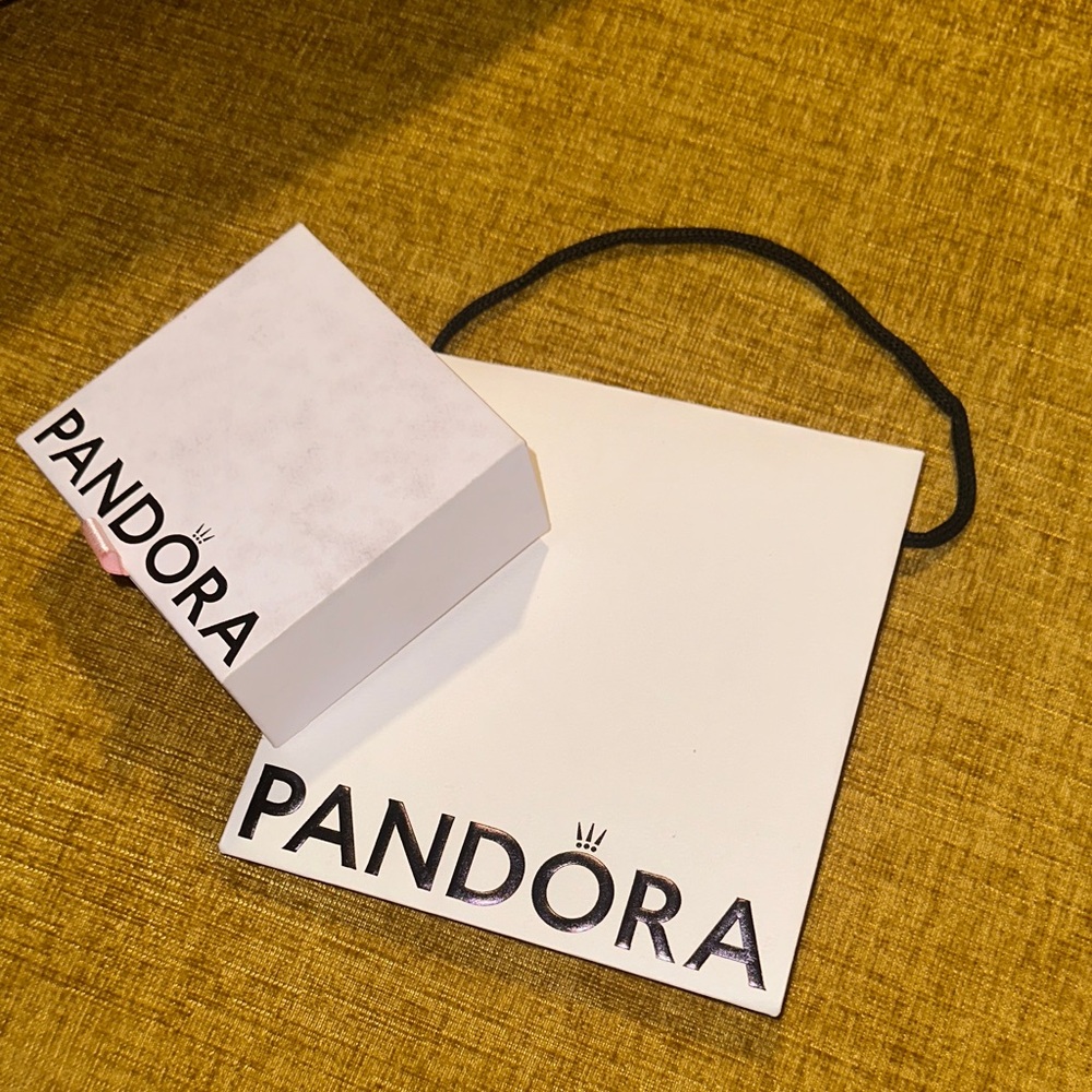 Pandora Silver Charm Bracelet - Picture 6 of 6